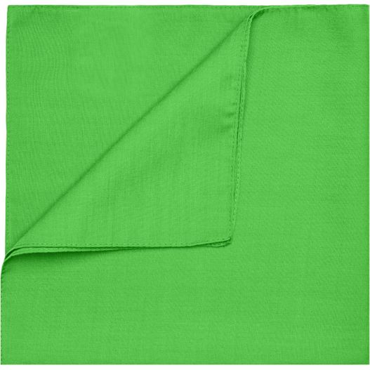 Bandana - Multifunktionelles Viereck-Tuch (Bild 1)