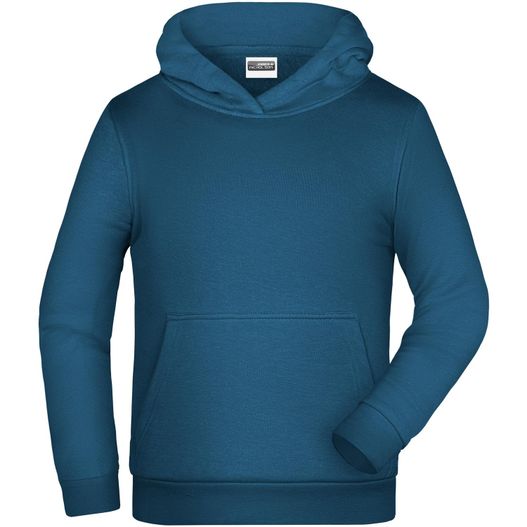 ein blauer kapuzenpullover mit kapuze drauf Children Promo Hoody - Klassisches Kapuzensweat für Kinder (Bild 1)
