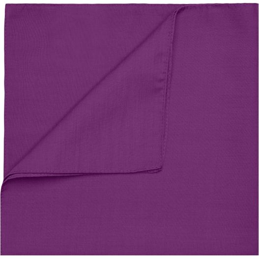 Bandana - Multifunktionelles Viereck-Tuch (Bild 1)