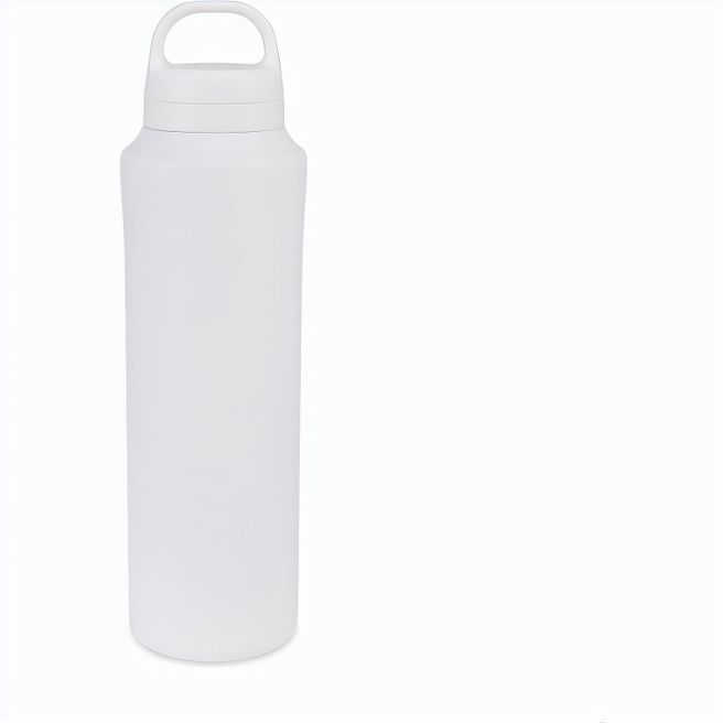 Aviana™ Rowan RCS recycelte Wasserflasche 740ml