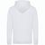 IQONIQ Rila Lightweight Hoodie aus recycelter Baumwolle (Bild 3)