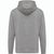 IQONIQ Rila Lightweight Hoodie aus recycelter Baumwolle (Bild 2)