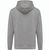 IQONIQ Rila Lightweight Hoodie aus recycelter Baumwolle (Bild 2)