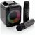 Singvibe Karaoke-Set mit Doppelmikrofon aus RCS rec. ABS (Bild 2)