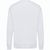 IQONIQ Etosha Lightweight Sweater aus recycelter Baumwolle (Bild 2)