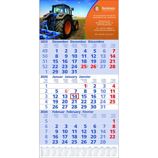 Papierwandkalender Top 12 (Bild 1)