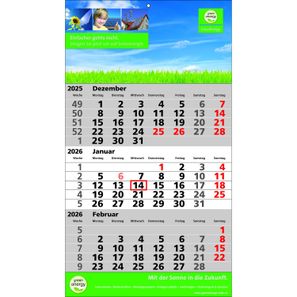 Papierwandkalender Standard 2 plus