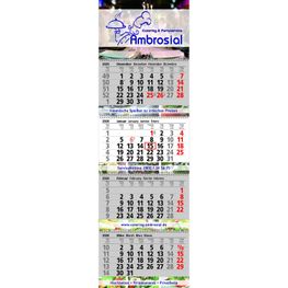 Papierwandkalender Exclusiv 4