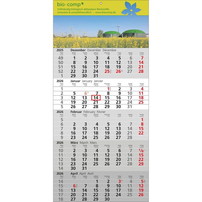Papierwandkalender Standard 5