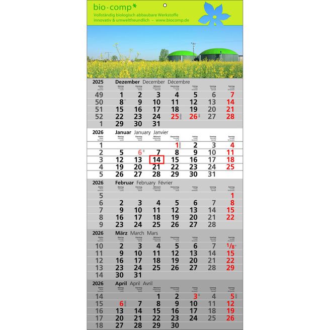 Papierwandkalender Standard 5
