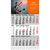 Papierwandkalender Standard 1 plus (Bild 1)