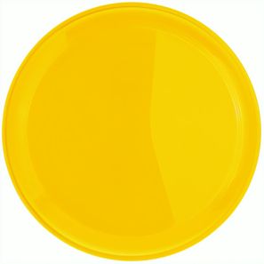 Wurfscheibe "Jupiter"
