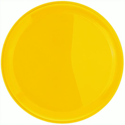 Wurfscheibe "Jupiter" (Bild 1)