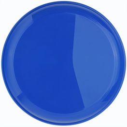 Wurfscheibe "Jupiter" - EXPRESSDRUCK