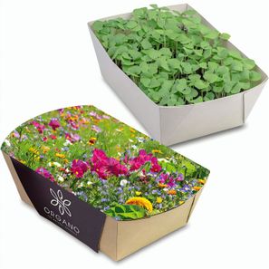 Pflanz-Schale mit Samen - Sommerblumenmischung