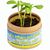 Pflanz-Cup mit Samen - Ringelblume (Bild 2)