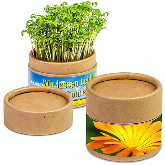 Produktabbildung Pflanz-Cup mit Samen - Ringelblume Pflanz-Cup mit Samen - Ringelblume (Bild 1)