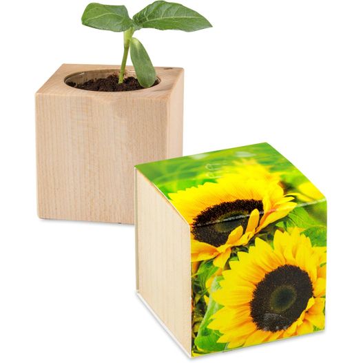 Pflanz-Holz - Standardmotiv - Sonnenblume - 1 Seite gelasert (Bild 1)