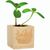 Pflanz-Holz - Standardmotiv - Sonnenblume - 1 Seite gelasert (Bild 3)