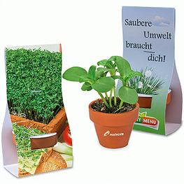 Logo-Töpfchen Überreichverpackung mit Samen - Gartenkresse
