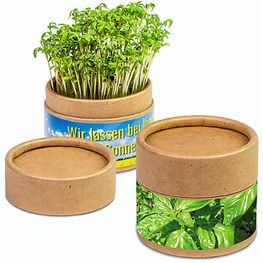 Produktabbildung Pflanz-Cup mit Samen - Basilikum Pflanz-Cup mit Samen - Basilikum