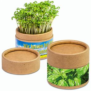 Pflanz-Cup mit Samen - Basilikum