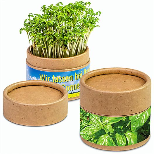 Produktabbildung Pflanz-Cup mit Samen - Basilikum Pflanz-Cup mit Samen - Basilikum (Bild 1)