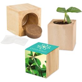 Pflanz-Holz Maxi mit Samen - Glücksklee-Zwiebel, 1 Seite gelasert (* Je nach Verfügbarkeit der Glücksklee-Zwiebeln)