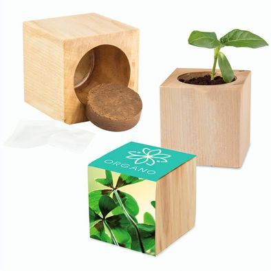 Pflanz-Holz Maxi mit Samen - Glücksklee-Zwiebel, 1 Seite gelasert (* Je nach Verfügbarkeit der Glücksklee-Zwiebeln)