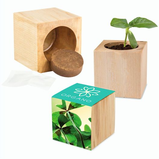 Pflanz-Holz Maxi mit Samen - Glücksklee-Zwiebel, 1 Seite gelasert (* Je nach Verfügbarkeit der Glücksklee-Zwiebeln) (Bild 1)