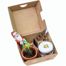 Geschenk-Set Xmas - V3 - Tontöpfchen, Schoko-Nikolaus, Backförmchen Tannenbaum und ein Gläschen Orangenmarmelade