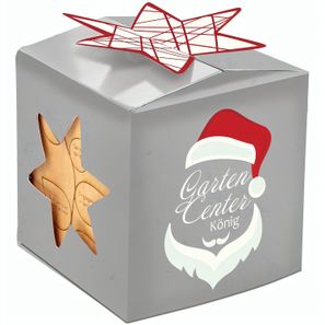 Pflanz-Holz Büro Star-Box Xmas mit Fichtensamen - Fichte