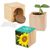 Pflanz-Holz Maxi mit Samen - Sonnenblume, 2 Seiten gelasert (Bild 1)