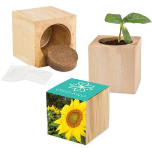 Pflanz-Holz Maxi mit Samen - Sonnenblume, 2 Seiten gelasert