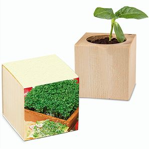 Pflanz-Holz mit Samen (Graspapier-Banderole) - Gartenkresse, 2 Seiten gelasert