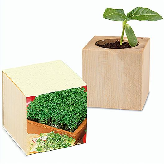 Pflanz-Holz mit Samen (Graspapier-Banderole) - Gartenkresse, 2 Seiten gelasert (Bild 1)