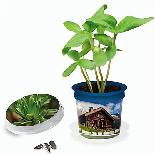 Produktabbildung Florero-Töpfchen mit Samen - blau - Fichte Florero-Töpfchen mit Samen - blau - Fichte (Bild 1)