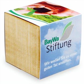 Pflanz-Holz Magnet mit Samen - Sonnenblume, 2 Seiten gelasert