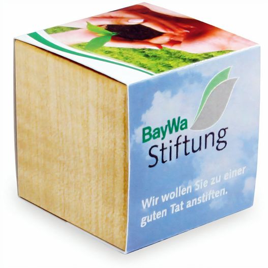 Produktabbildung Pflanz-Holz Magnet mit Samen - Sonnenblume, 2 Seiten gelasert Pflanz-Holz Magnet mit Samen - Sonnenblume, 2 Seiten gelasert (Bild 1)