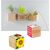 Pflanz-Holz Magnet mit Samen - Sonnenblume, 2 Seiten gelasert (Bild 2)