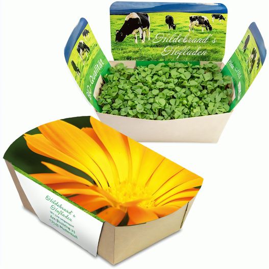 Pflanzodrom mit Samen - Ringelblume (Bild 1)