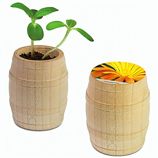 Produktabbildung Pflanz-Fässchen mit Samen - Ringelblume Pflanz-Fässchen mit Samen - Ringelblume (Bild 1)