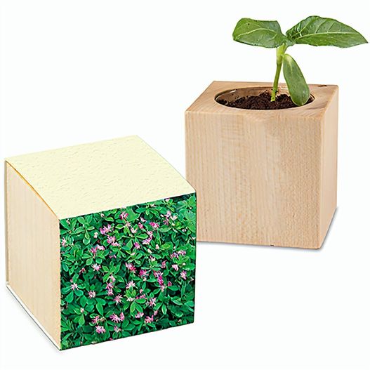 Pflanz-Holz mit Samen (Graspapier-Banderole) - Persischer Klee (Bild 1)