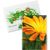 Samentütchen Mini - Standardpapier - Ringelblume (Bild 1)