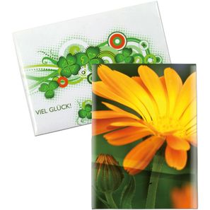 Samentütchen Mini - Standardpapier - Ringelblume
