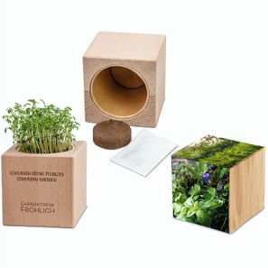 Pflanz-Holz Grande mit Samen - Kräutermischung