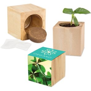 Pflanz-Holz Maxi mit Samen - Glücksklee-Zwiebel, 2 Seiten gelasert (* Je nach Verfügbarkeit der Glücksklee-Zwiebeln)