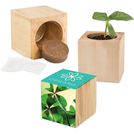 Pflanz-Holz Maxi mit Samen - Glücksklee-Zwiebel, 2 Seiten gelasert (* Je nach Verfügbarkeit der Glücksklee-Zwiebeln) (Bild 1)