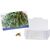 Flower-Card mit Samen - Thymian (Bild 1)