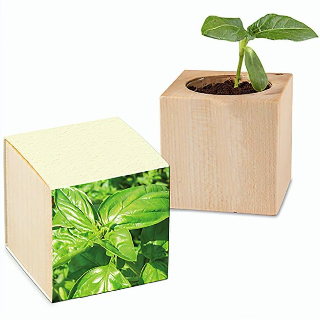 Produktabbildung Pflanz-Holz mit Samen (Graspapier-Banderole) - Basilikum Pflanz-Holz mit Samen (Graspapier-Banderole) - Basilikum